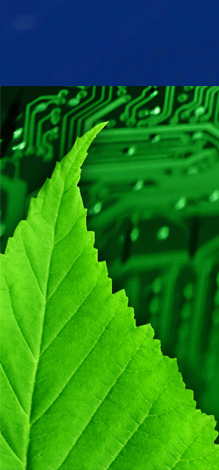 Green and eco-friendly